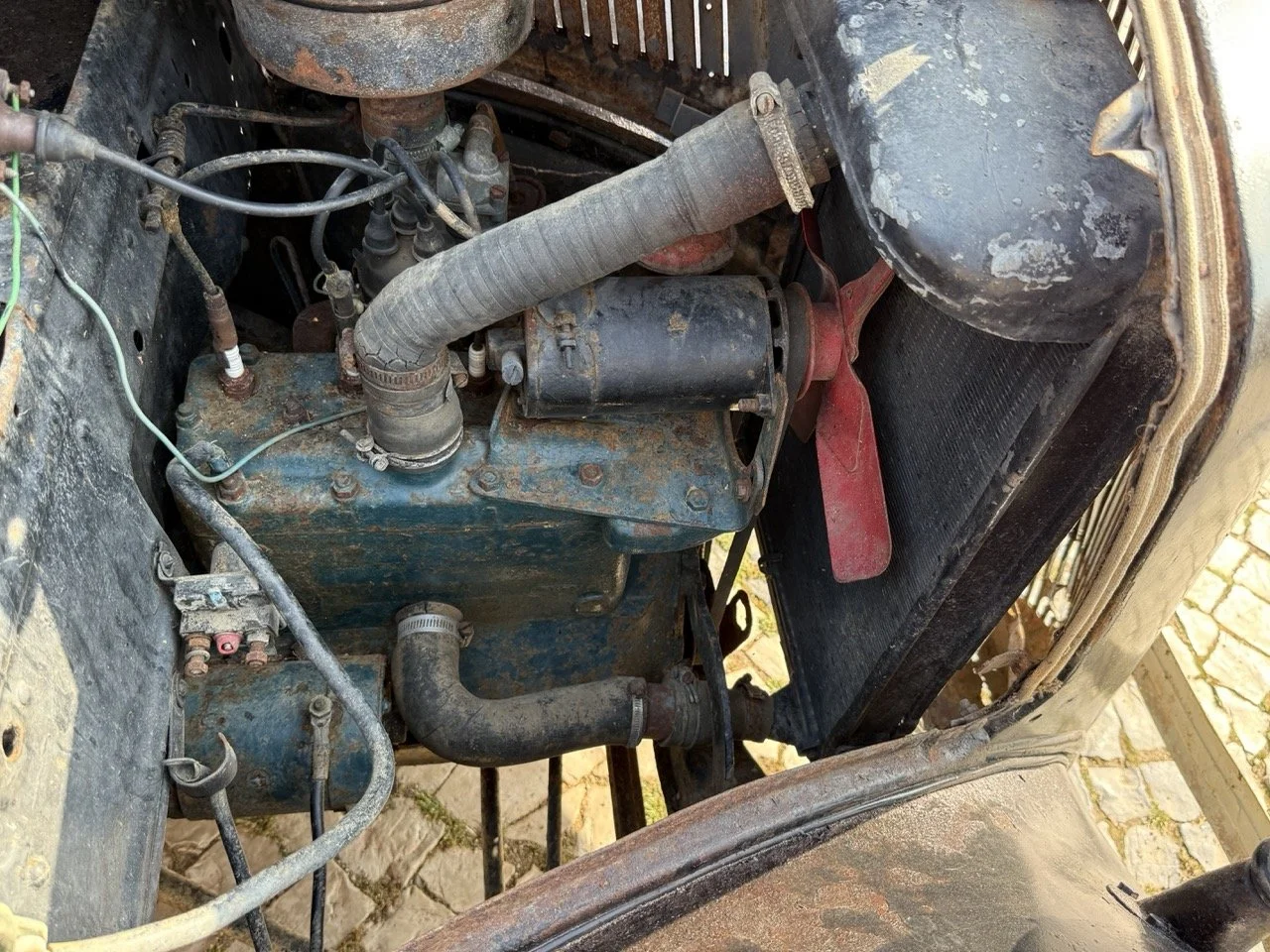 IMG_3701 – grande.jpeg