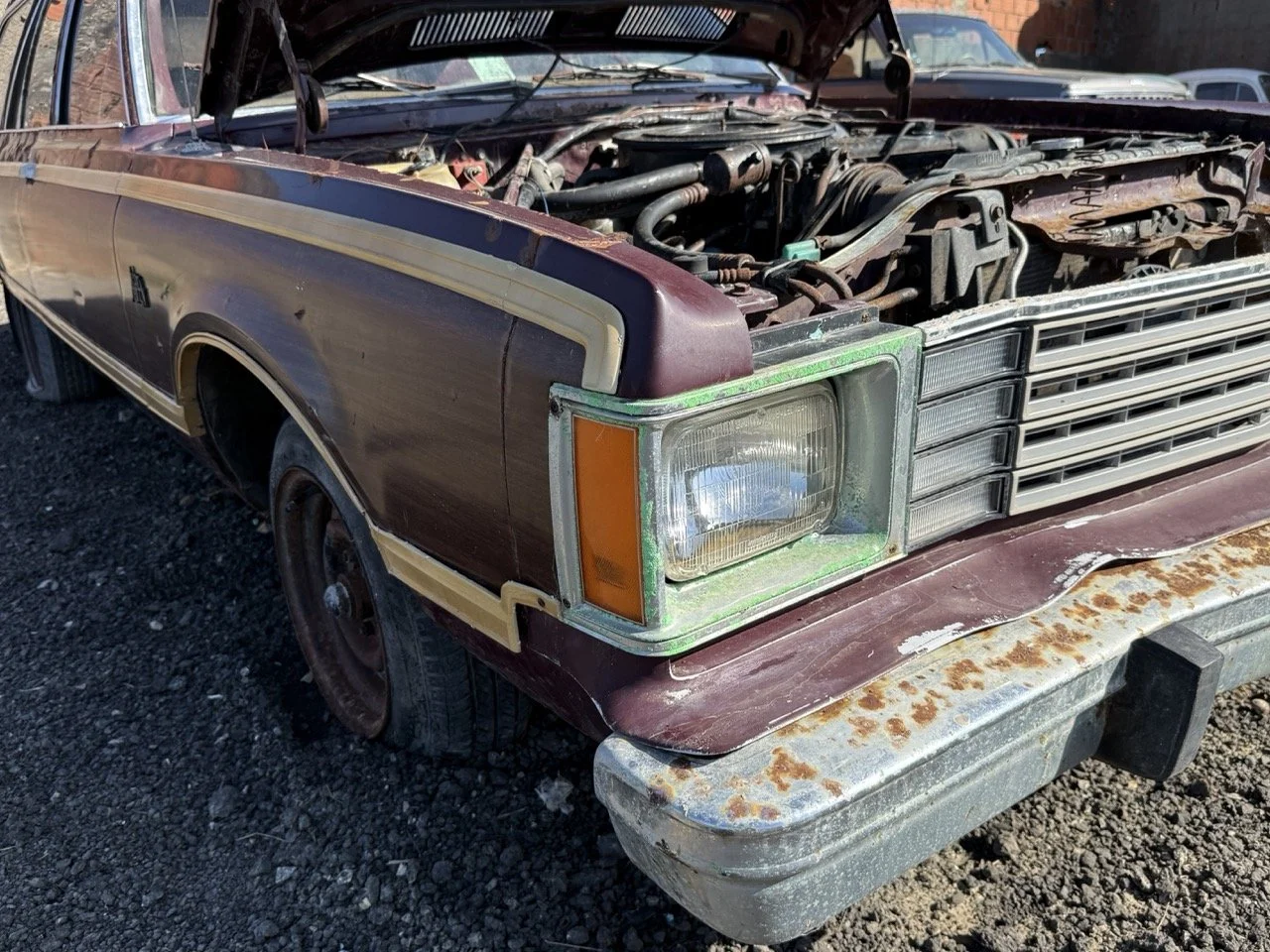 IMG_3043 – grande.jpeg