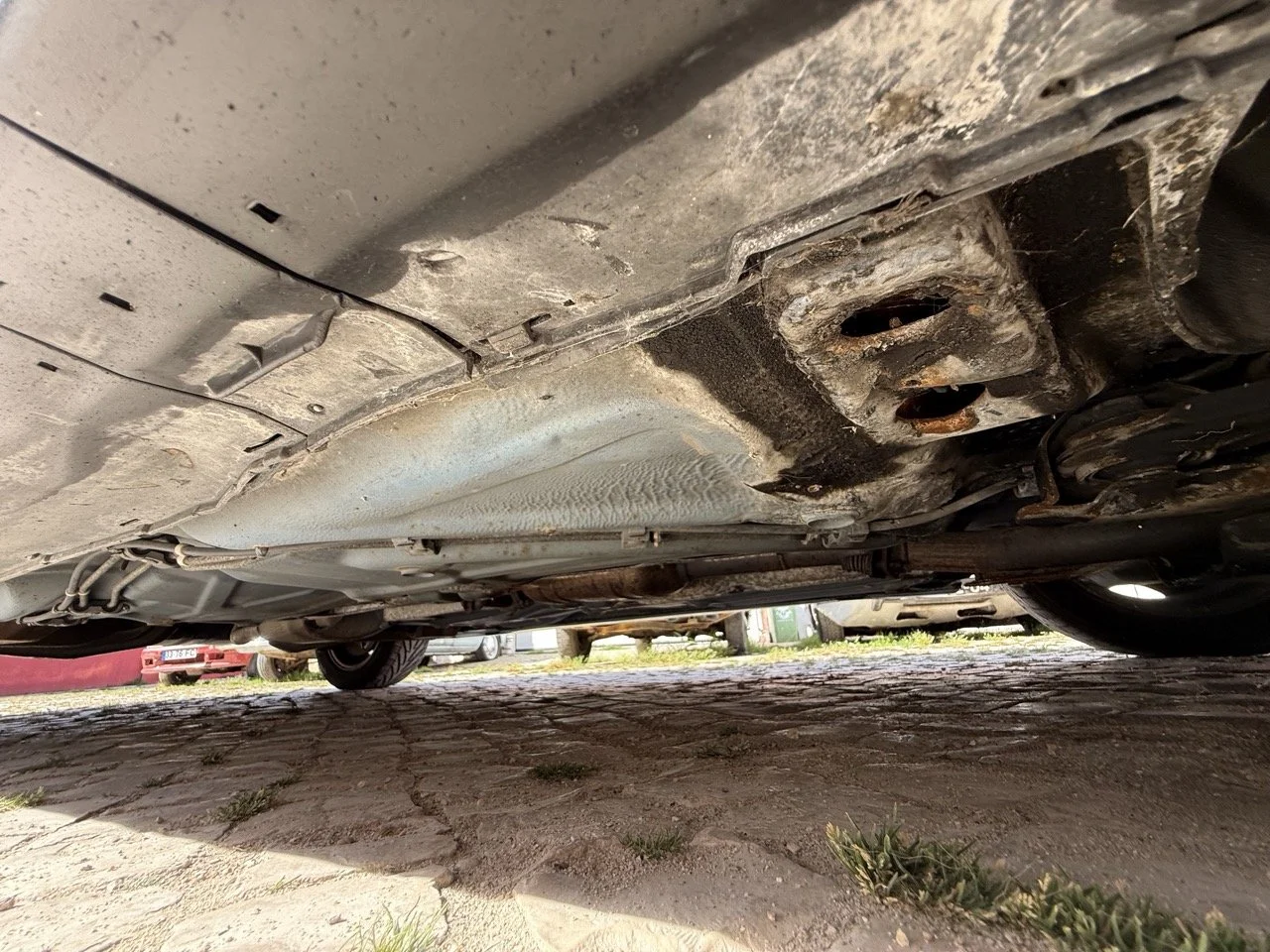 IMG_2516 – grande.jpeg