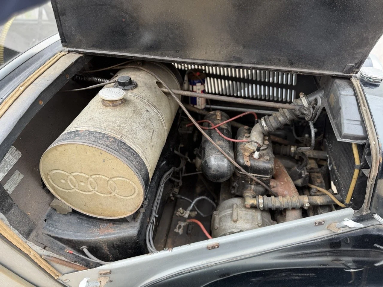 IMG_1441 – grande.jpeg