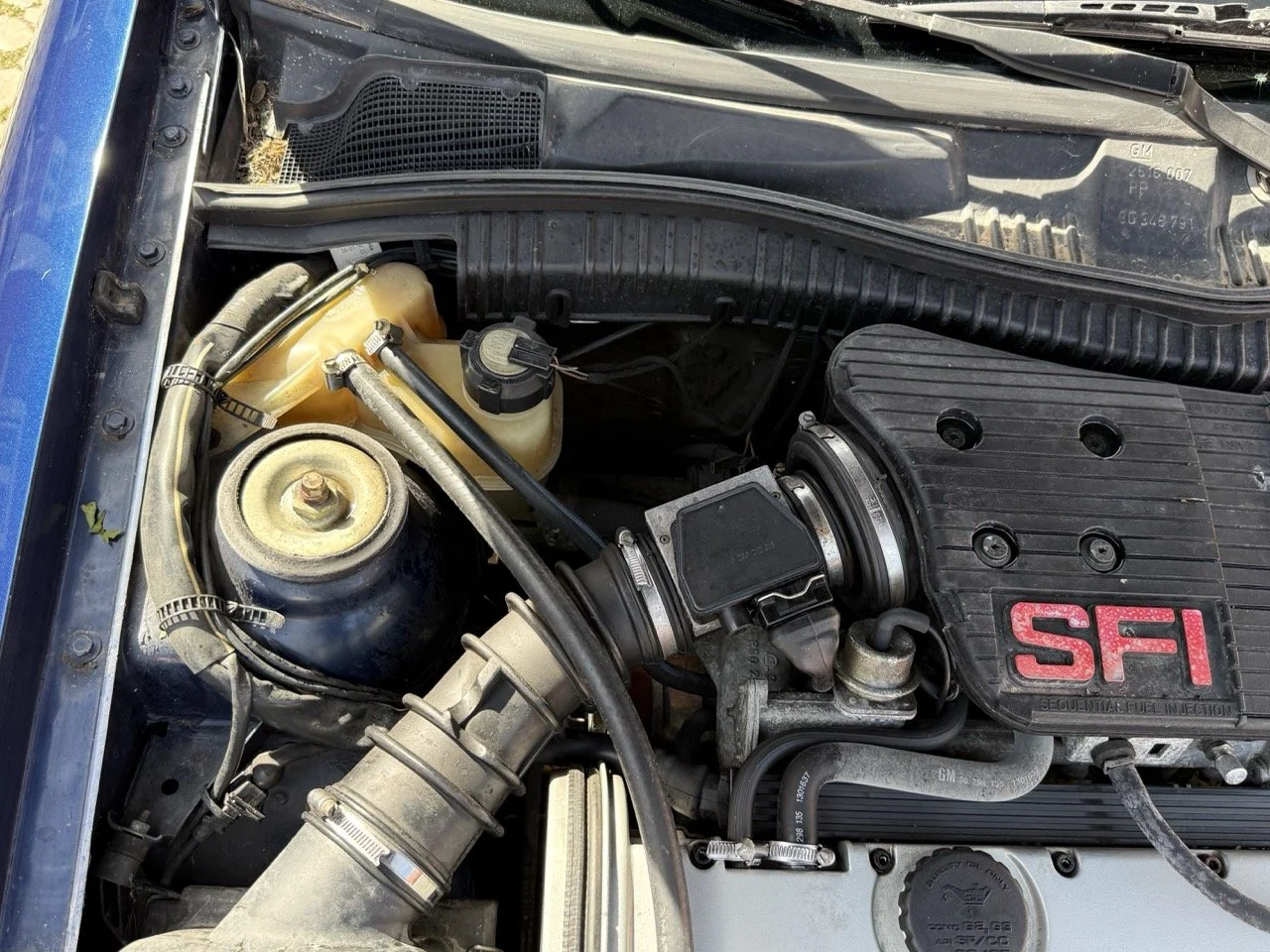 IMG_2417 – grande.jpeg