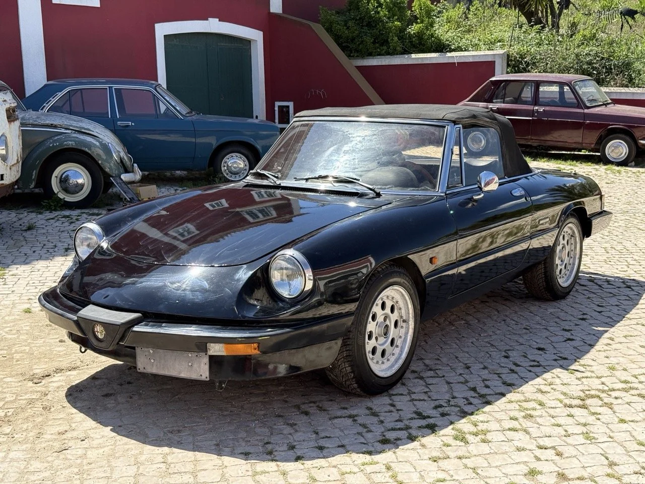 IMG_2132 – grande.jpeg