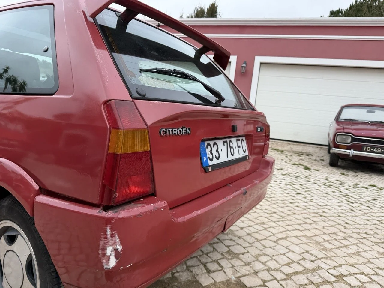 IMG_3645 – grande.jpeg