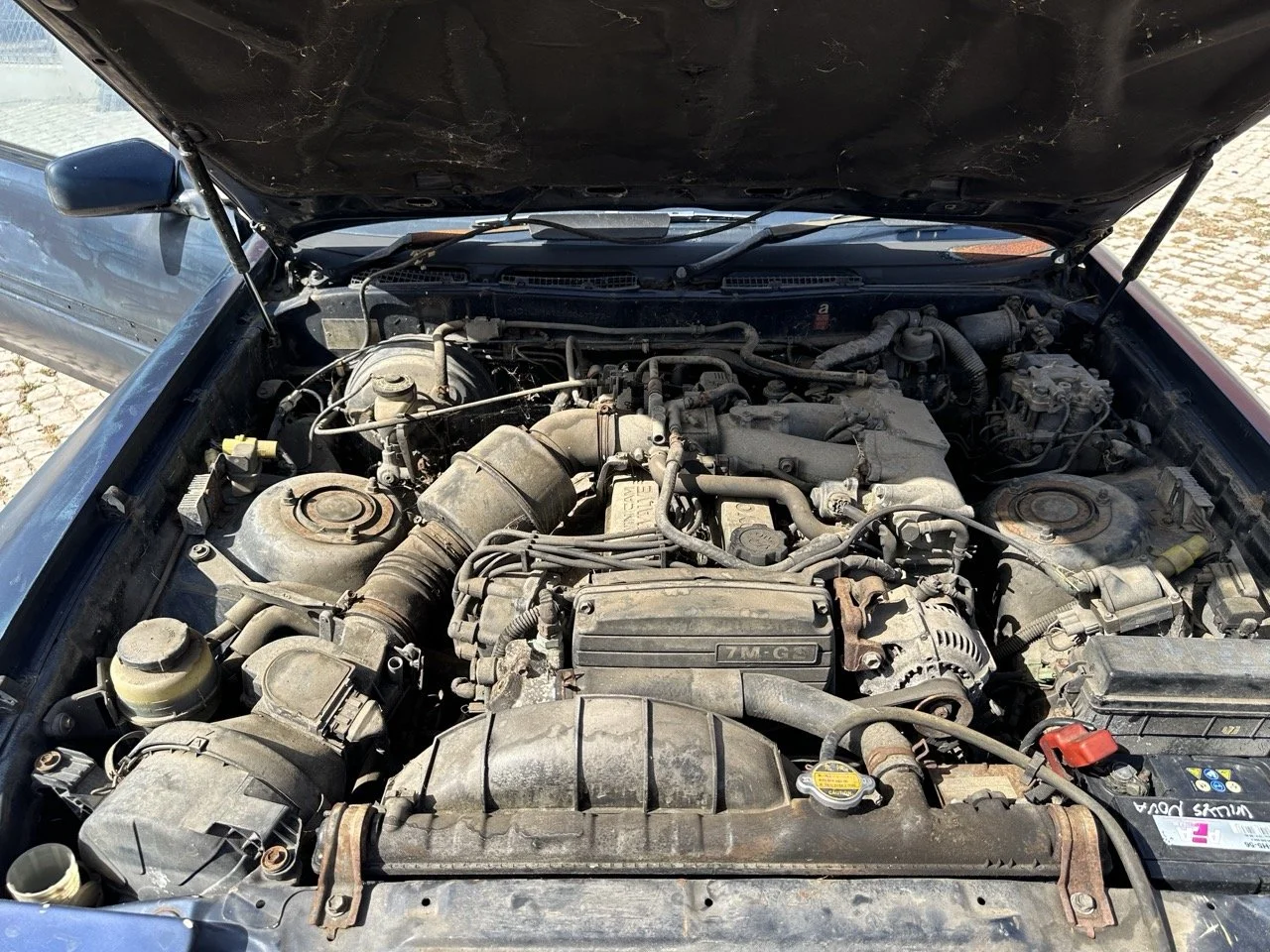 IMG_7201 – grande.jpeg