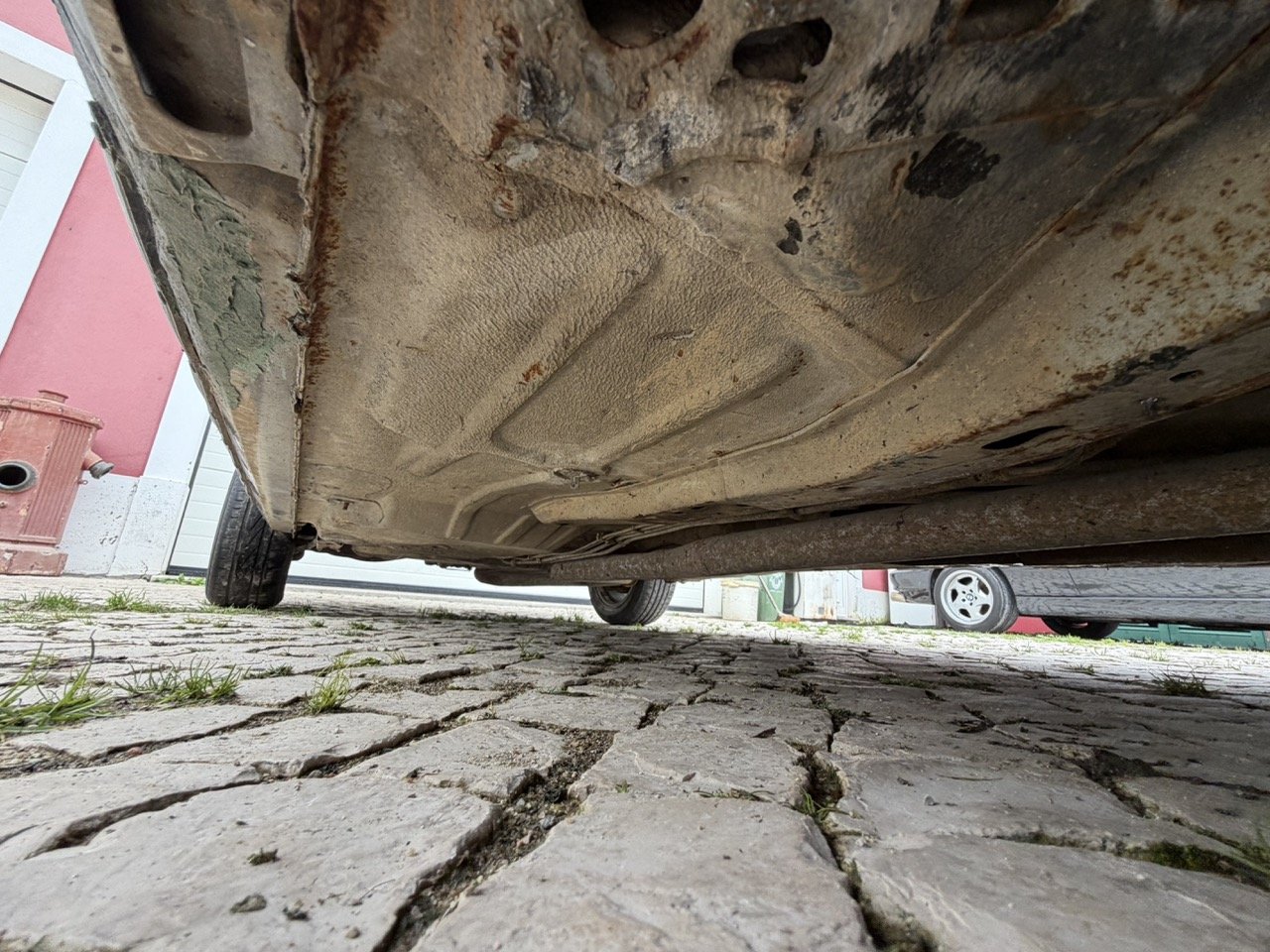 IMG_1324 – grande.jpeg