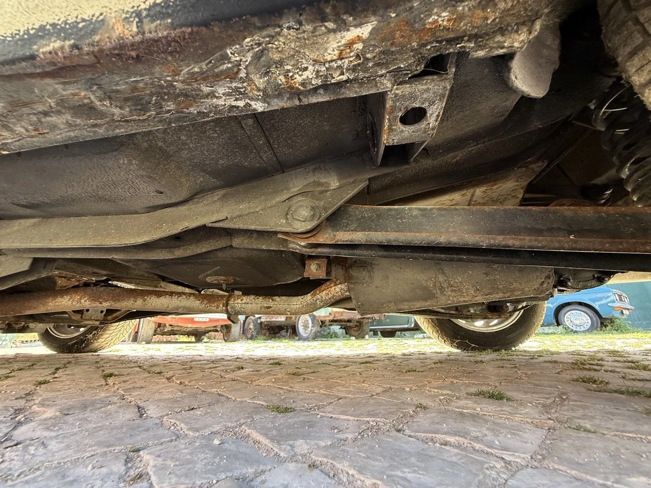 IMG_2240 – grande.jpeg