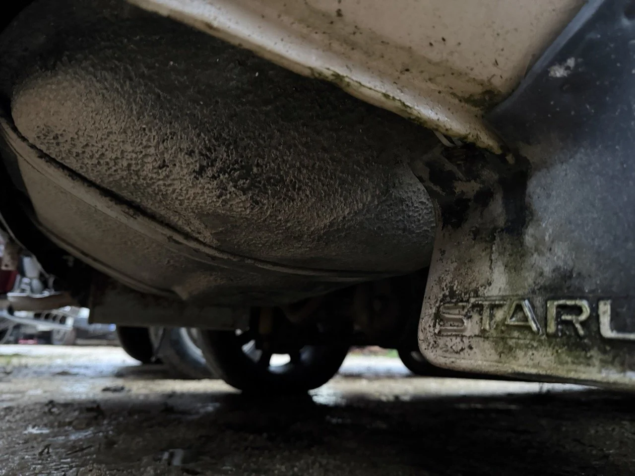 IMG_0214 – grande.jpeg