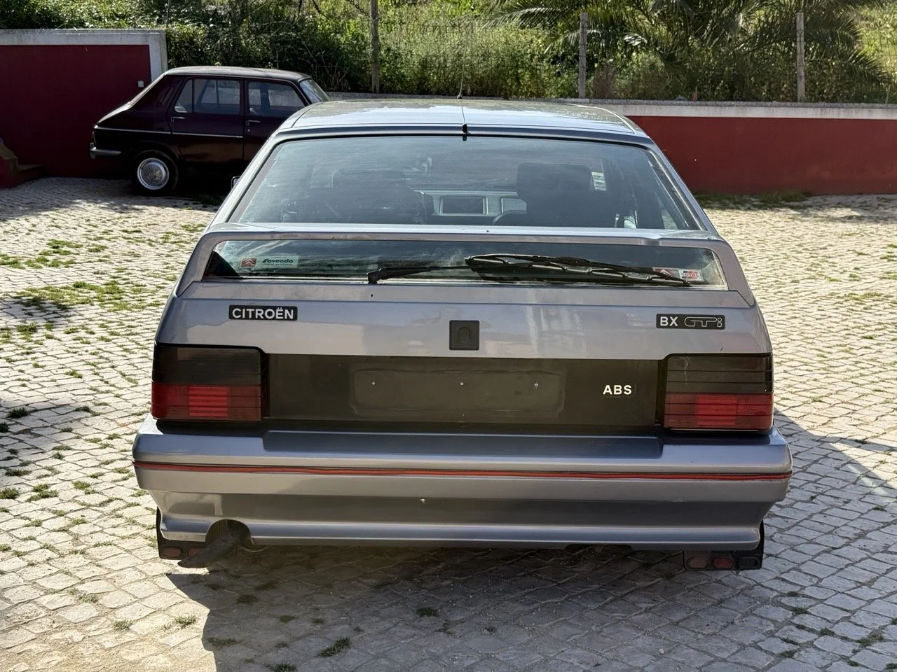 IMG_2523 – grande.jpeg