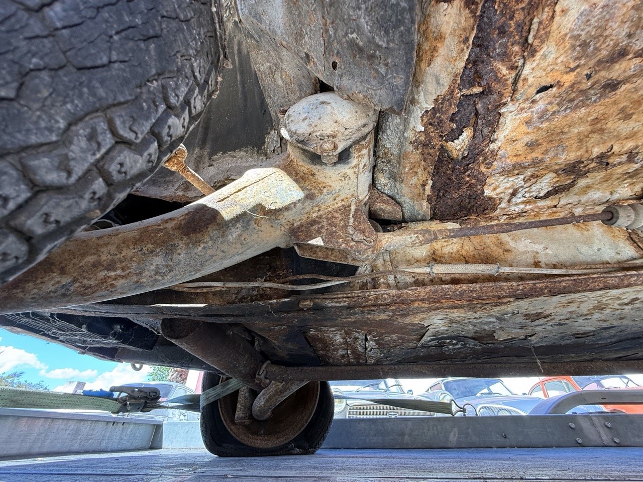 IMG_9124 – grande.jpeg