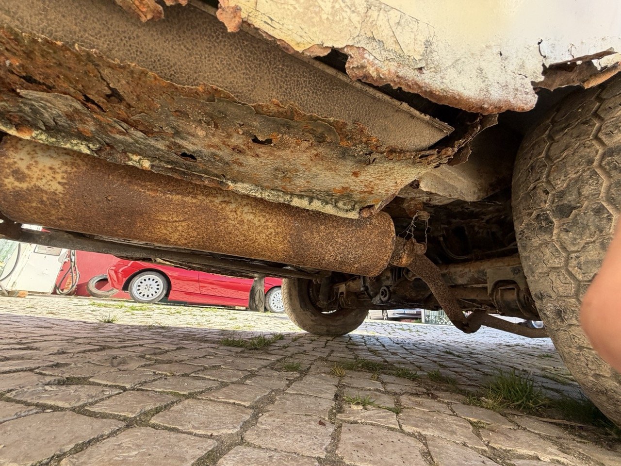 IMG_7074 – grande.jpeg