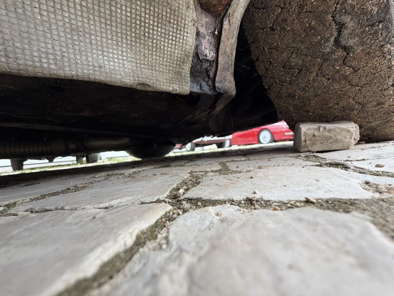 IMG_3787 – grande.jpeg