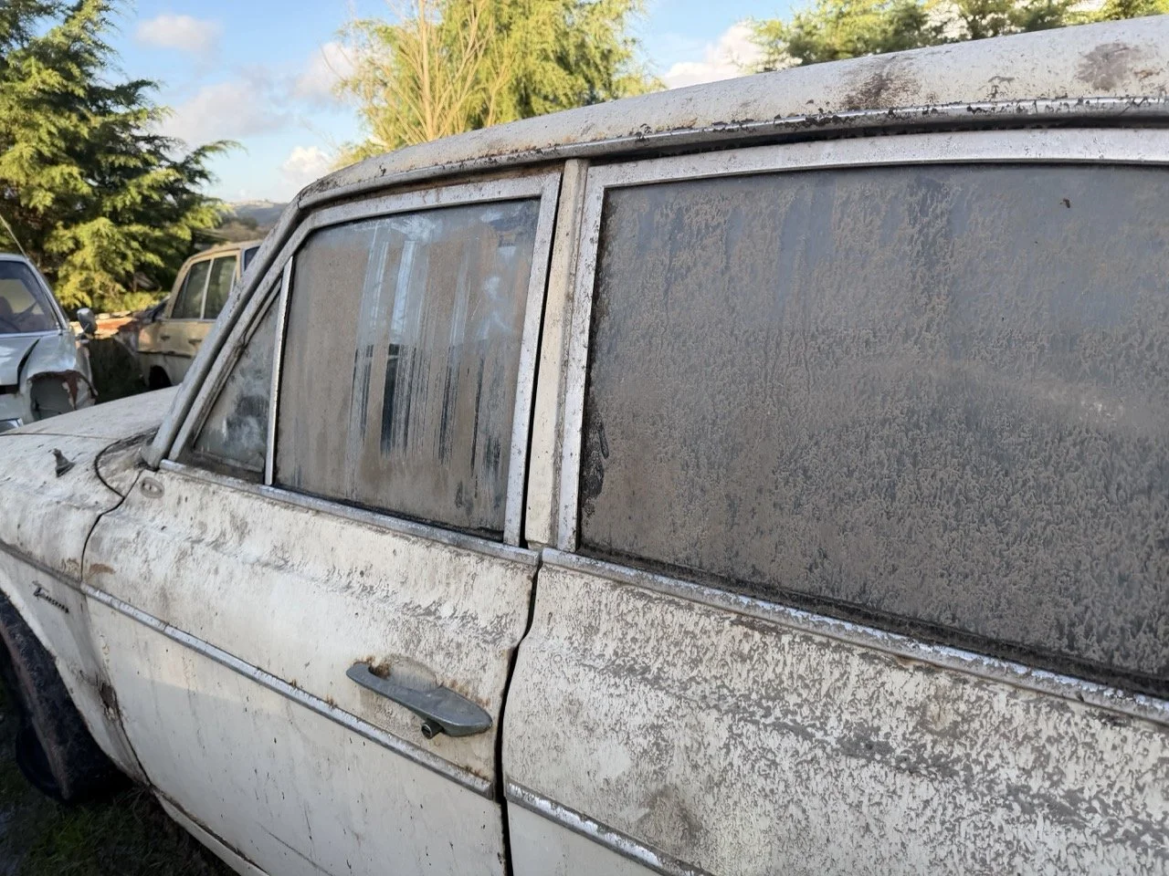 IMG_4073 – grande.jpeg