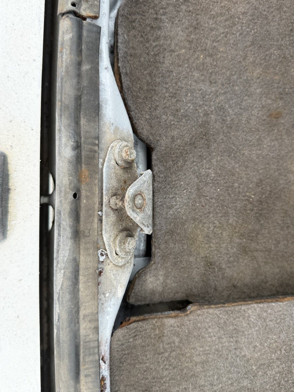 IMG_8585 – grande.jpeg