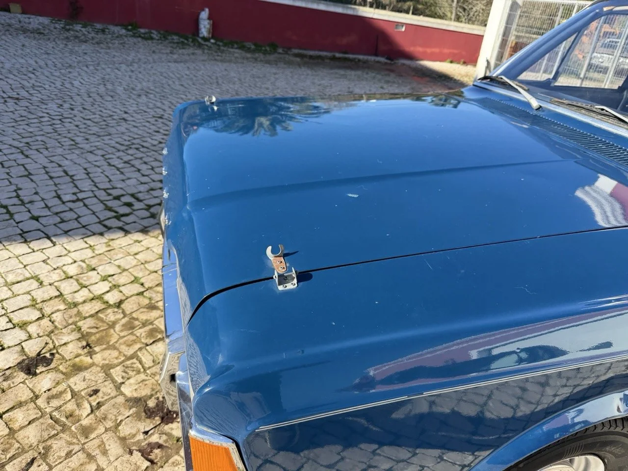 IMG_1866 – grande.jpeg