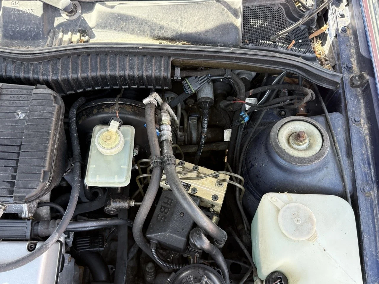 IMG_2418 – grande.jpeg