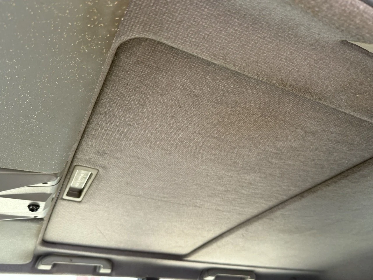 IMG_2612 – grande.jpeg