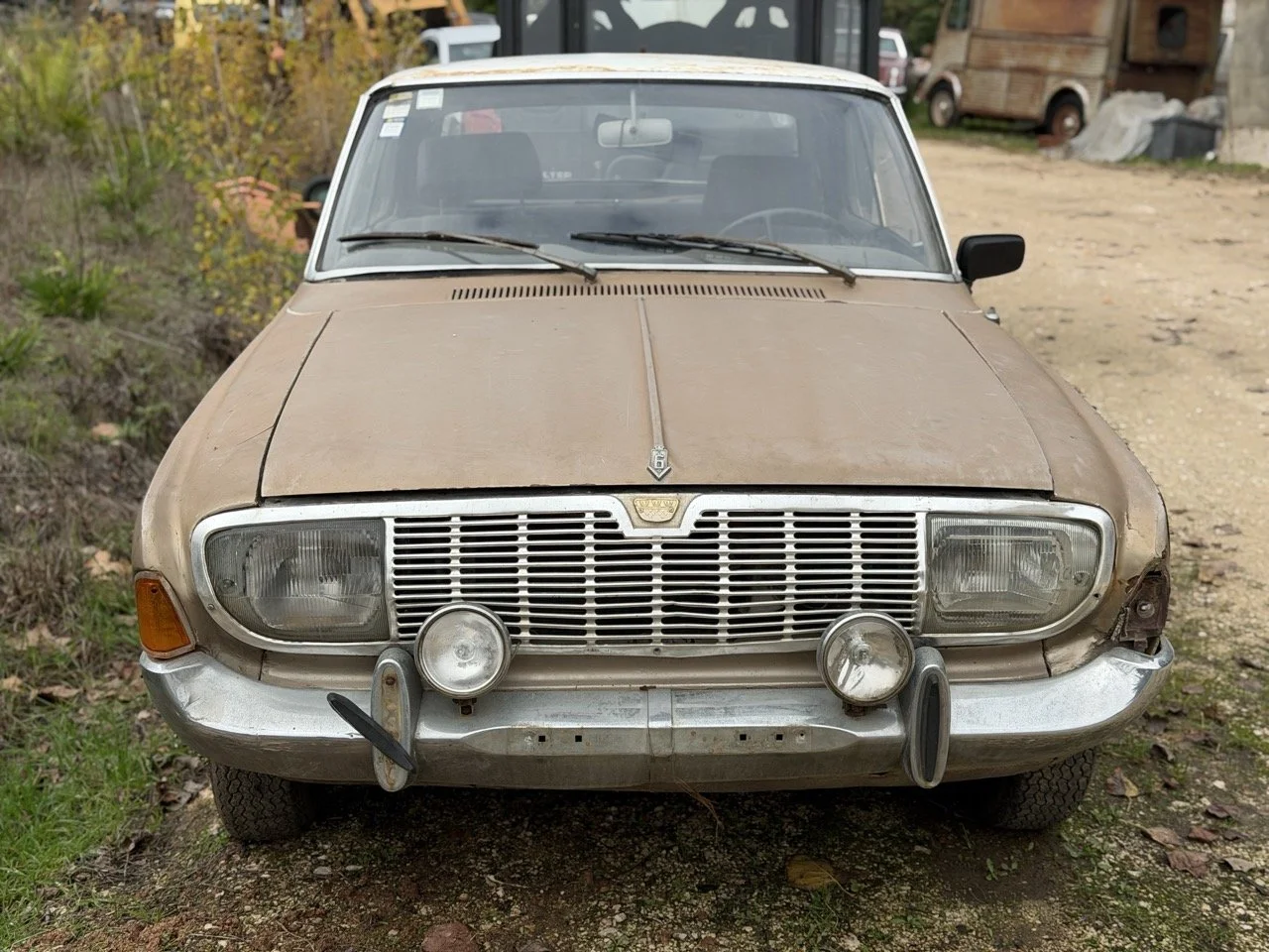 IMG_4895 – grande.jpeg