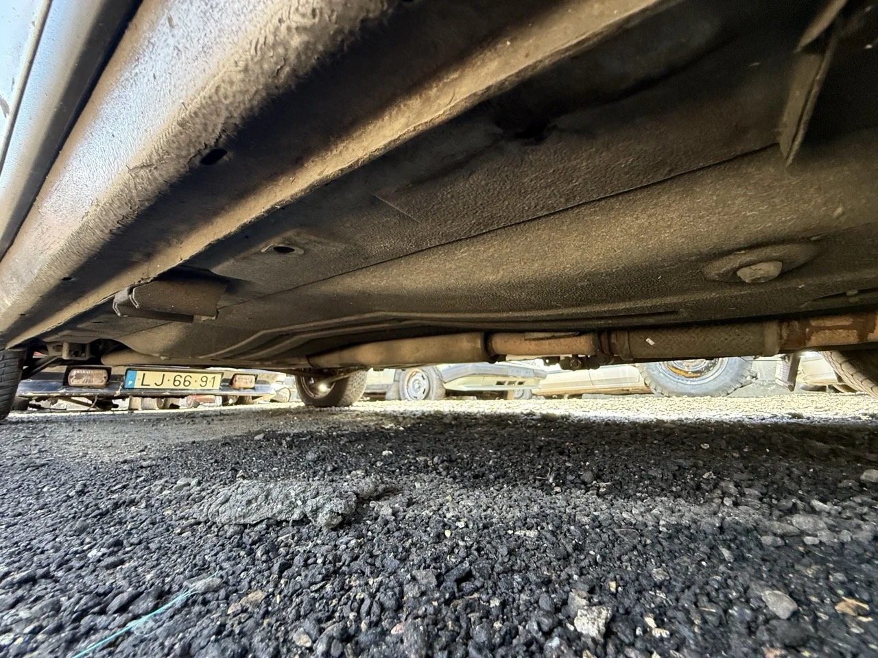 IMG_1962 – grande.jpeg