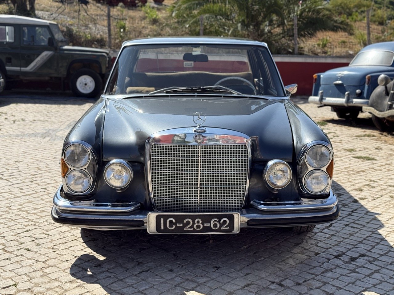 IMG_4699 – grande.jpeg