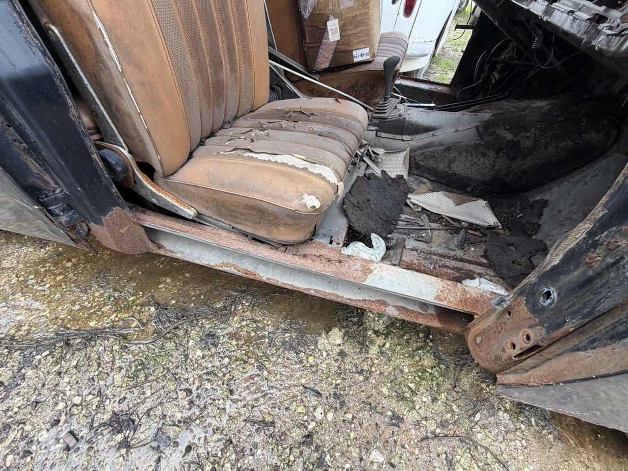 IMG_1944 – grande.jpeg