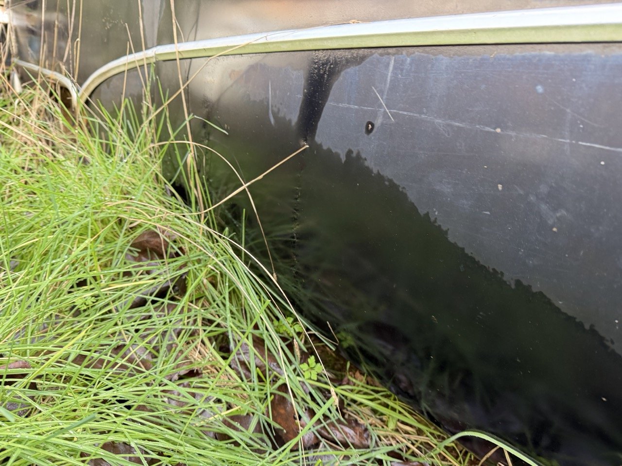 IMG_5041 – grande.jpeg