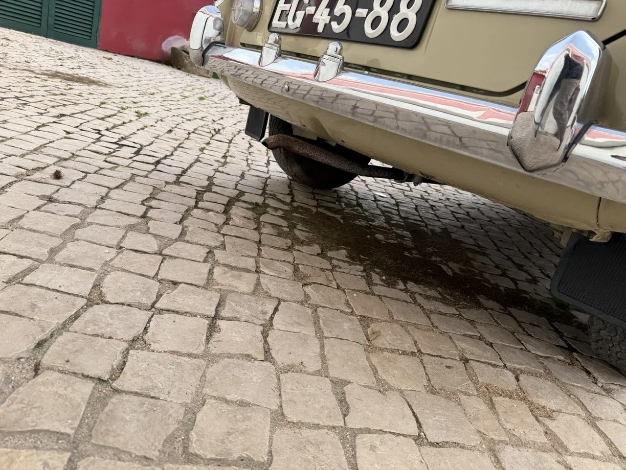 IMG_4089 – grande.jpeg