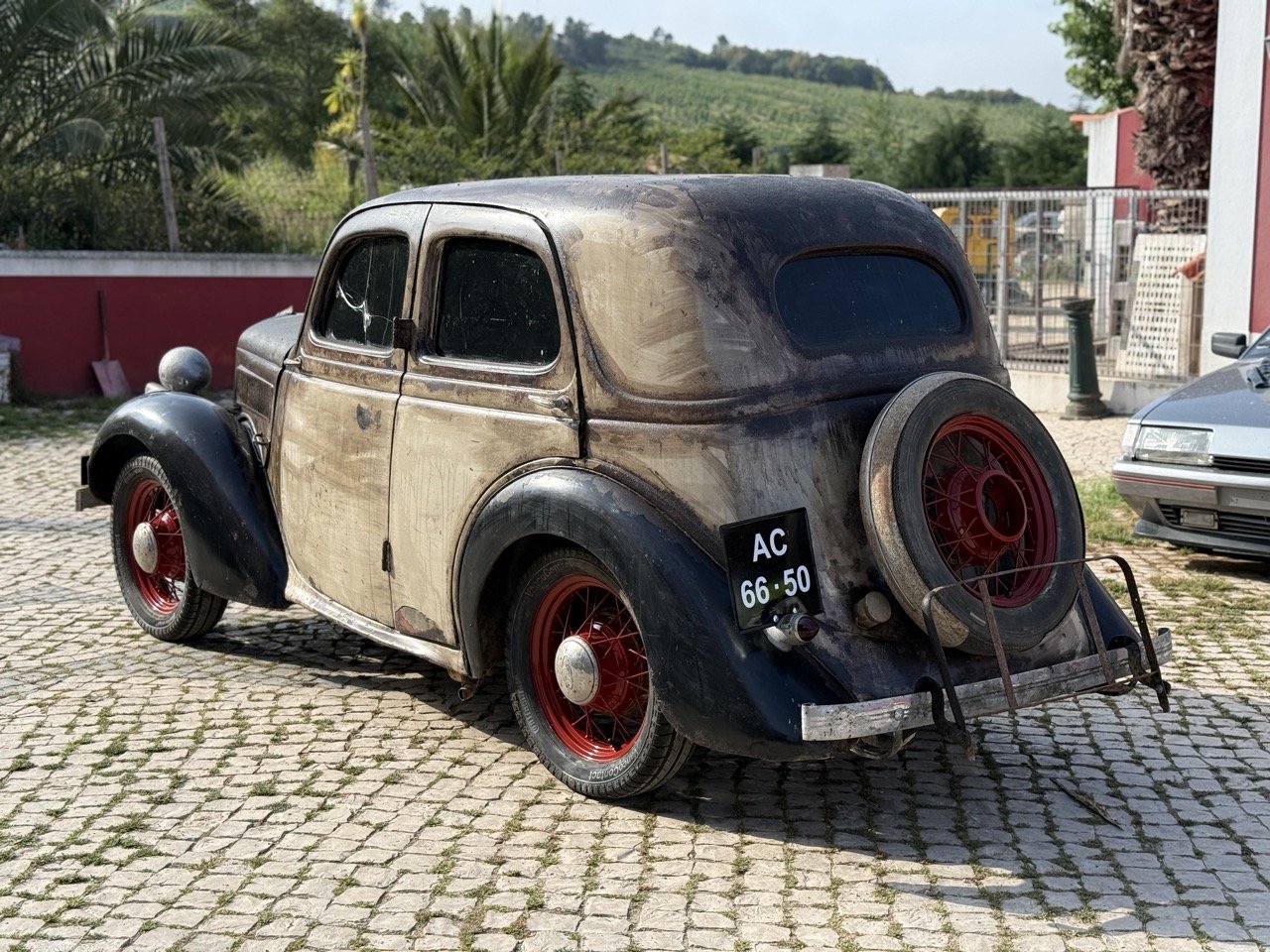 IMG_3677 – grande.jpeg