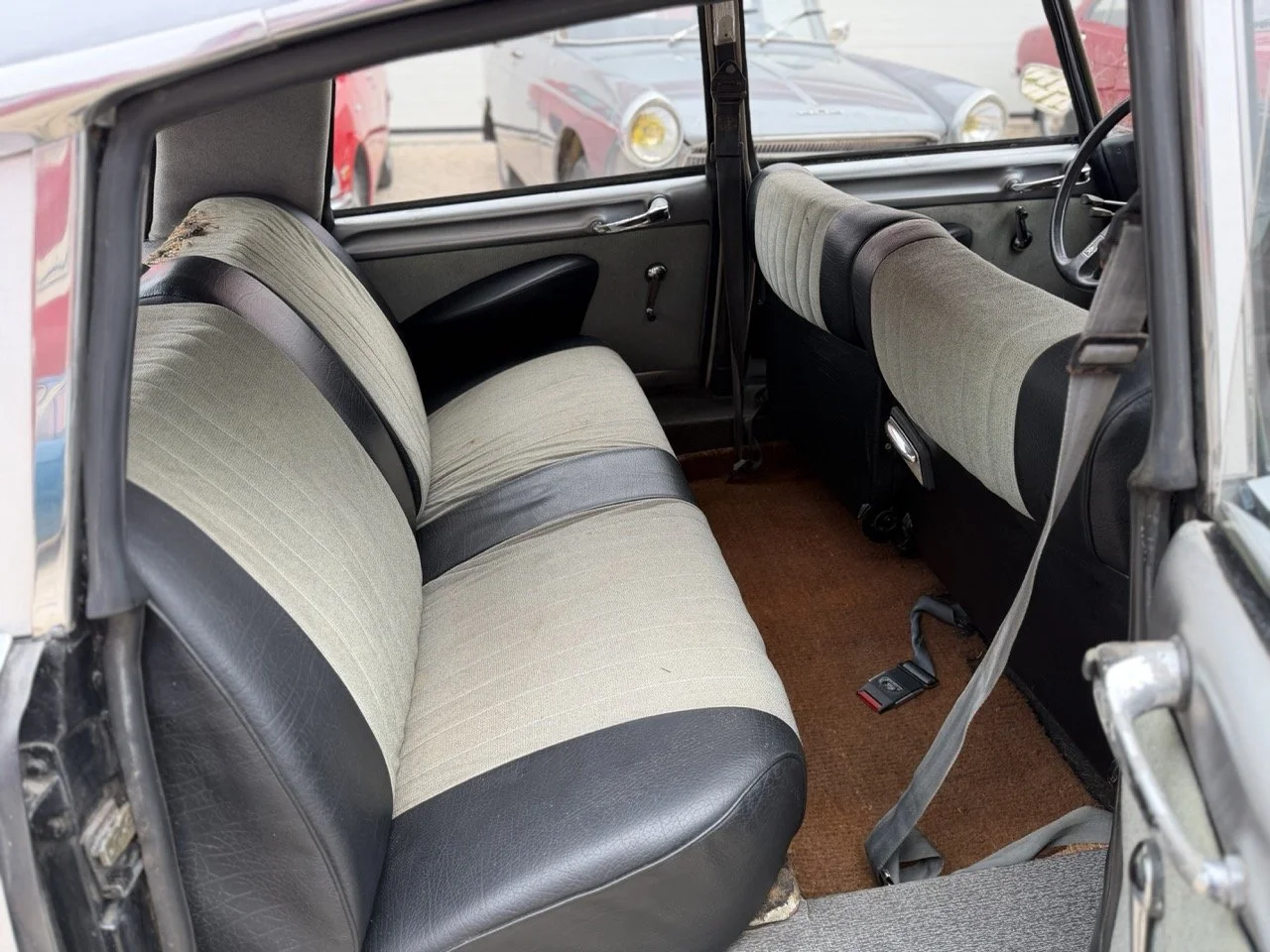 IMG_3721 – grande.jpeg