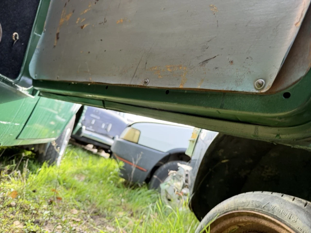 IMG_3939 – grande.jpeg