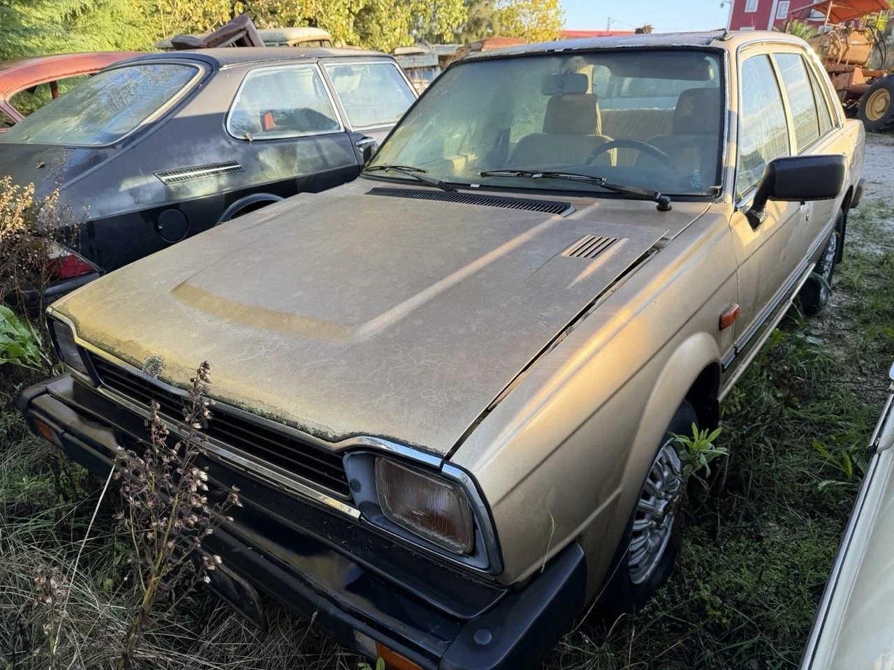 IMG_8981 2 – grande.jpeg