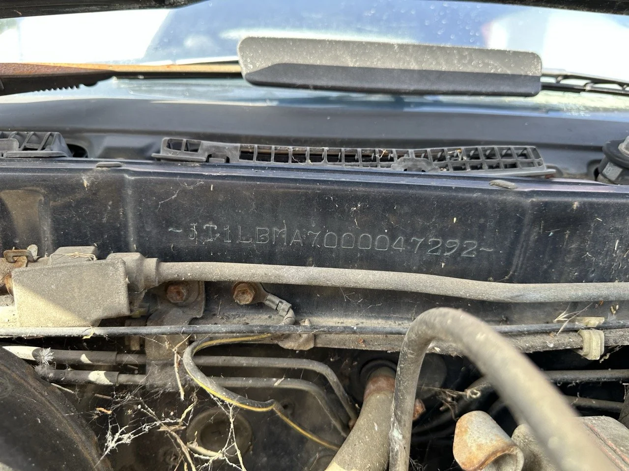 IMG_7210 – grande.jpeg