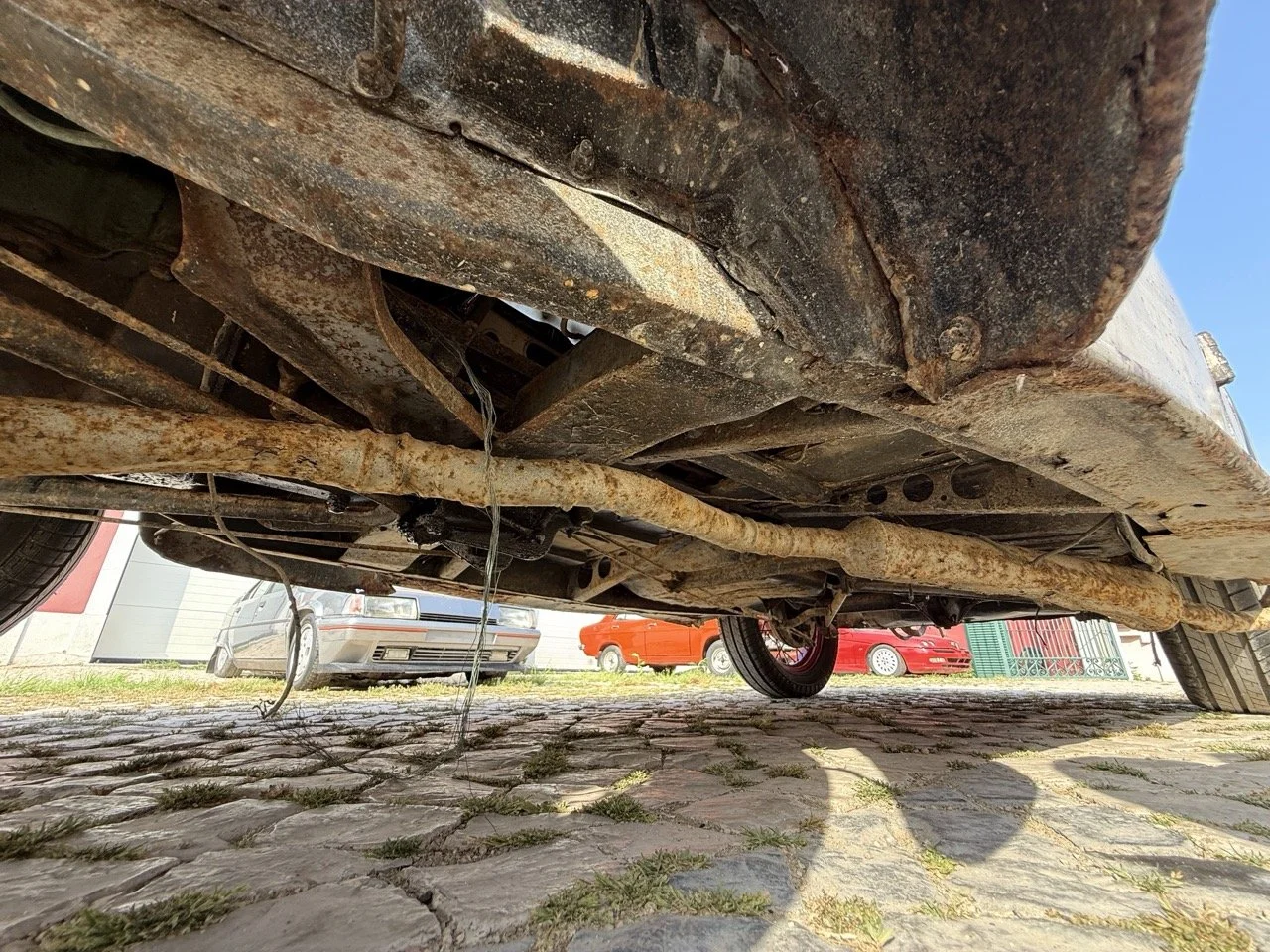 IMG_3737 – grande.jpeg