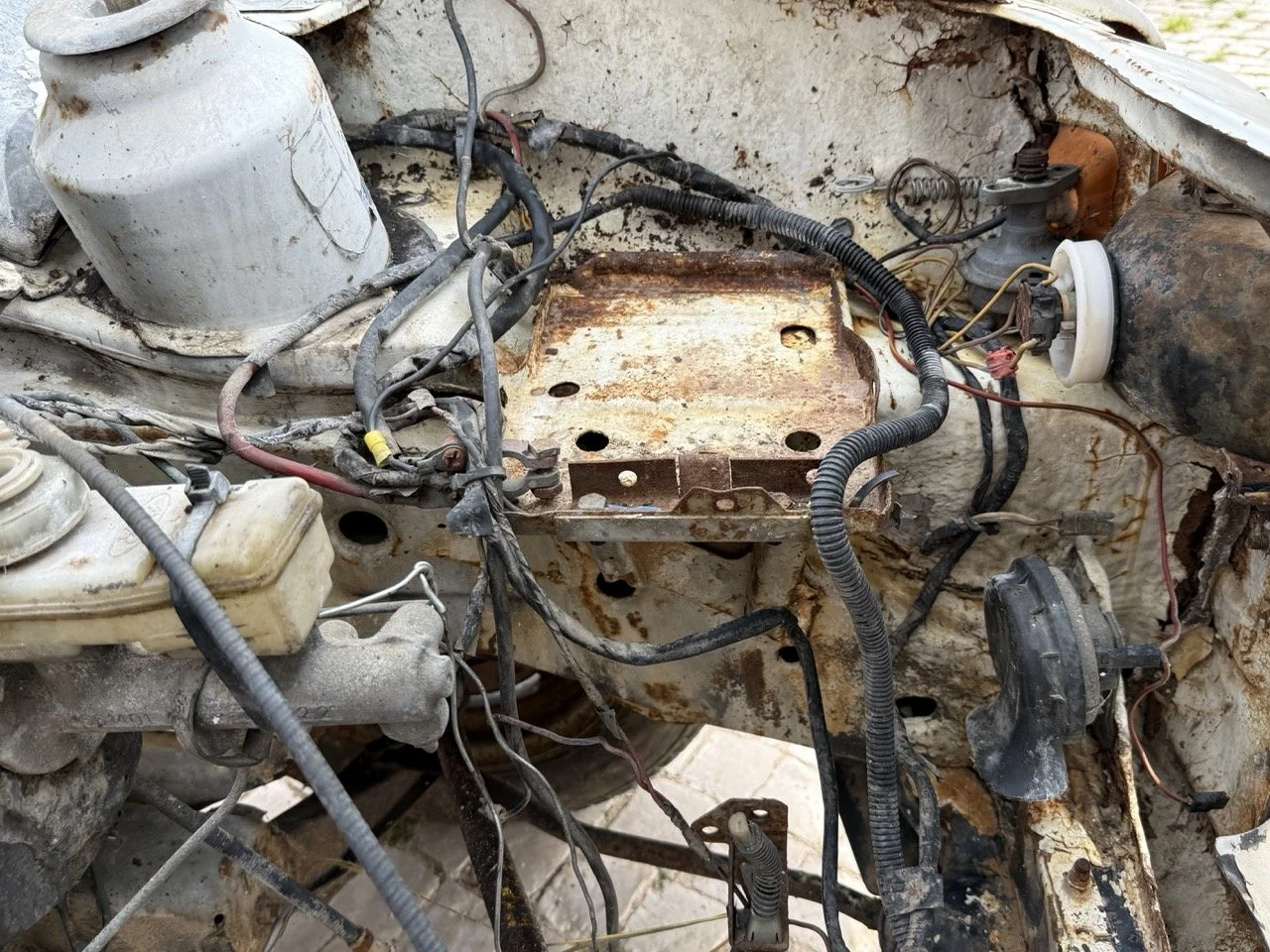 IMG_8556 – grande.jpeg