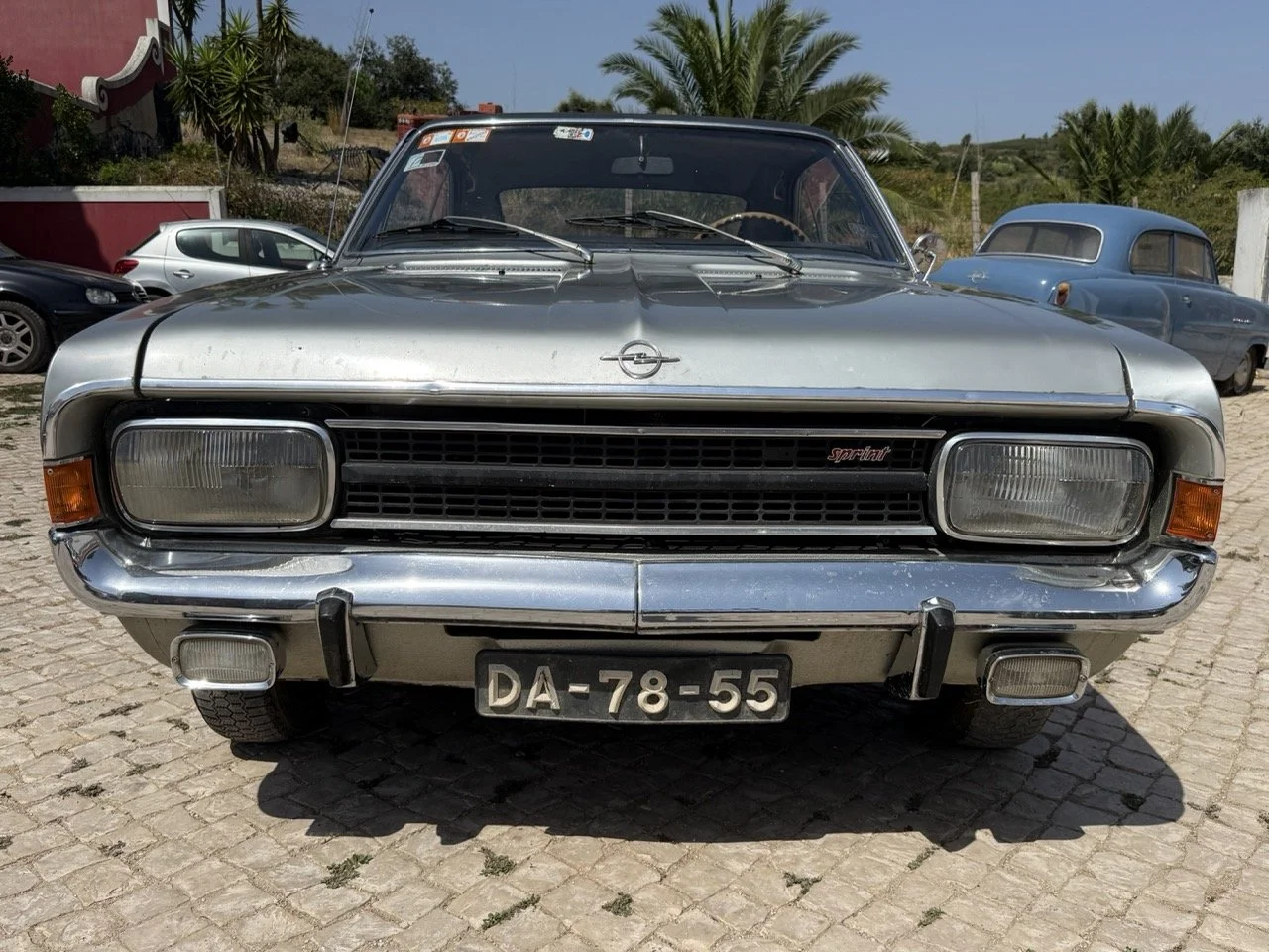 IMG_5898 – grande.jpeg