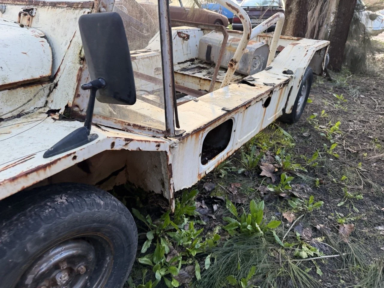 IMG_0888 – grande.jpeg