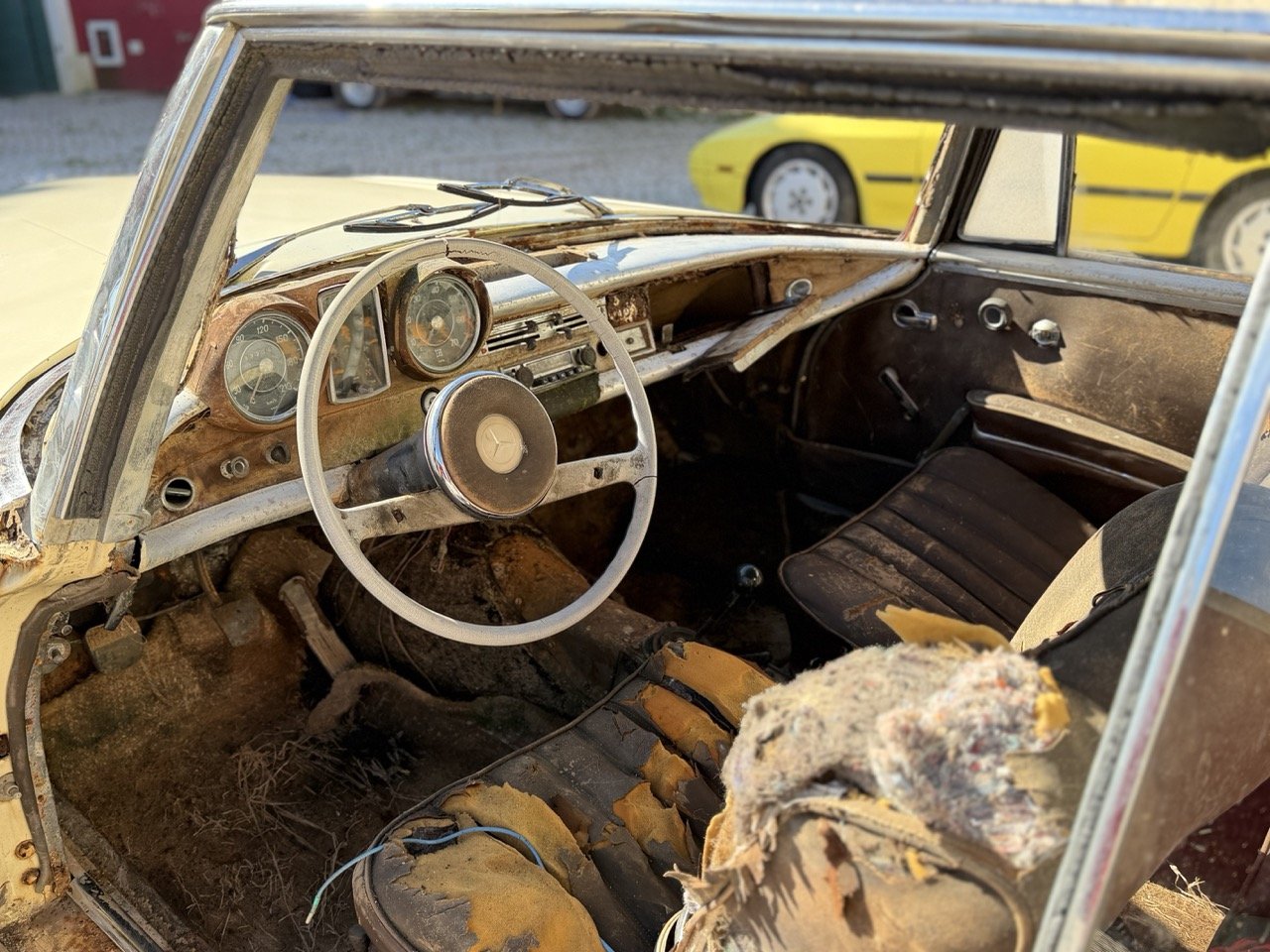 IMG_7012 – grande.jpeg