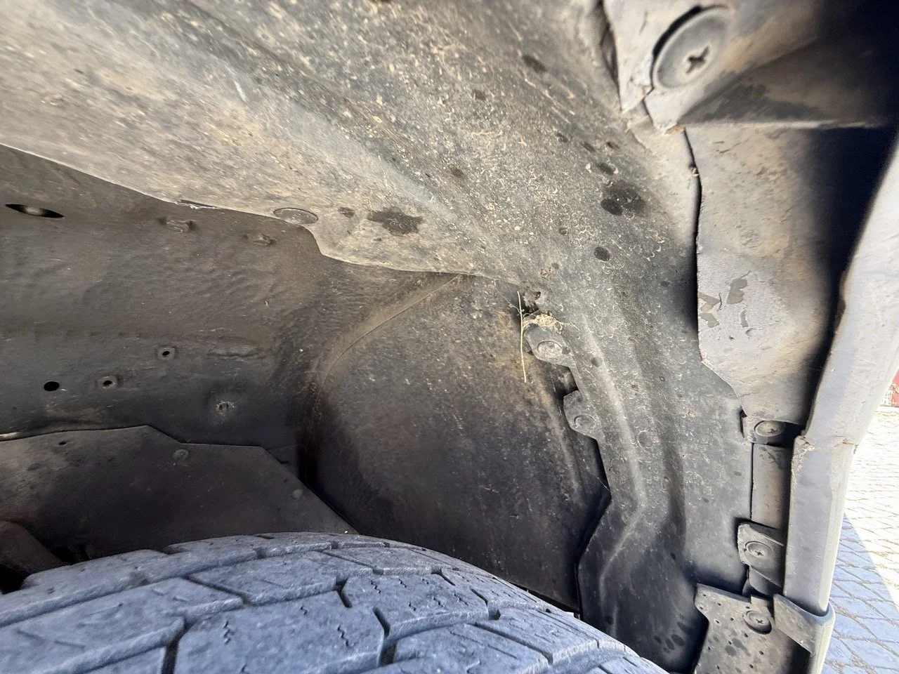IMG_7235 – grande.jpeg