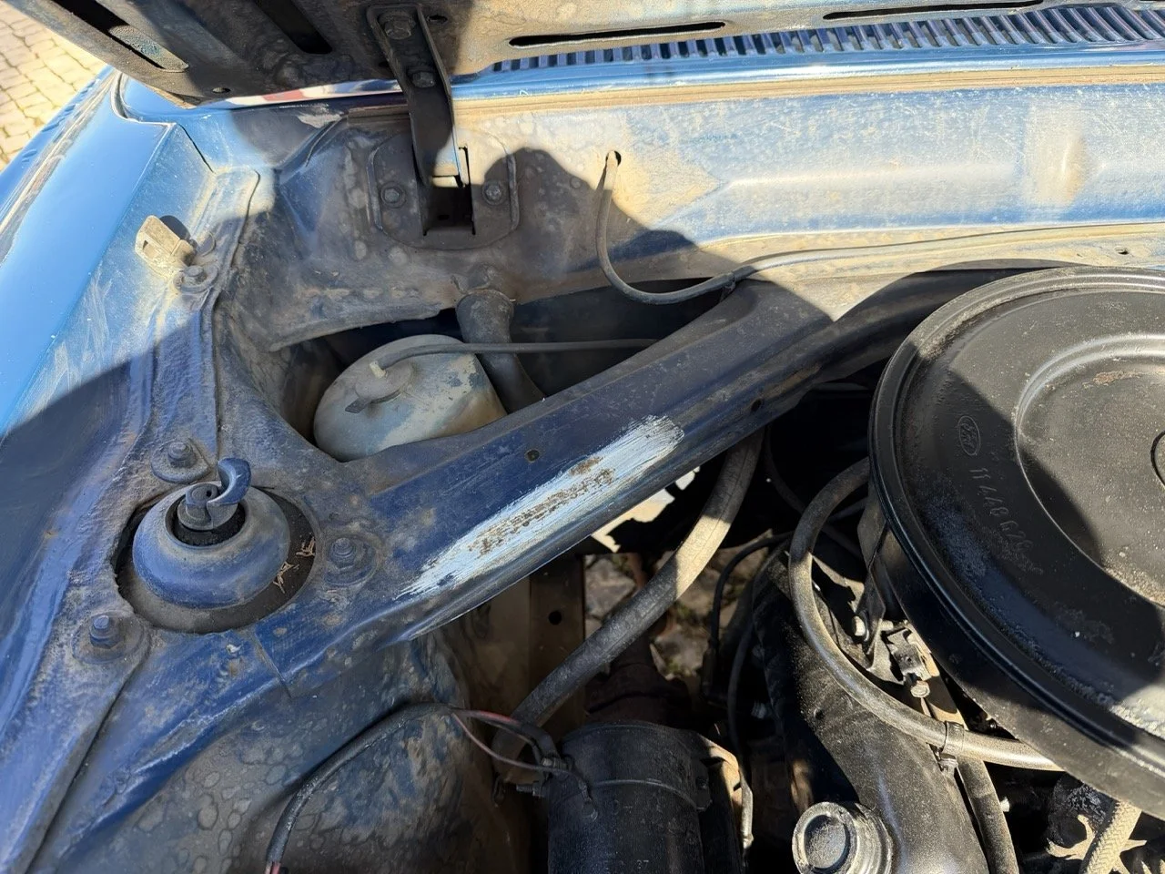 IMG_1844 – grande.jpeg