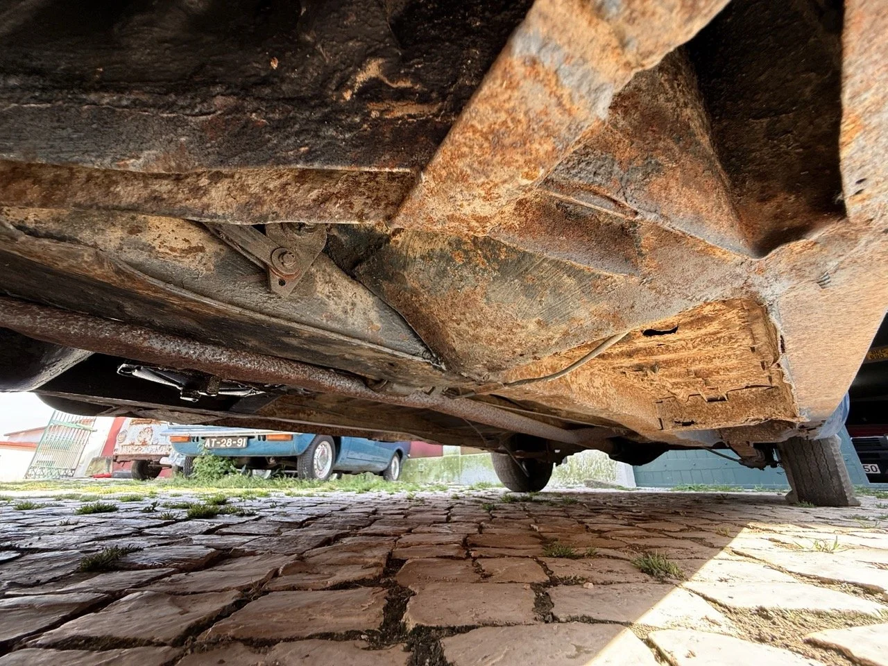 IMG_3575 – grande.jpeg