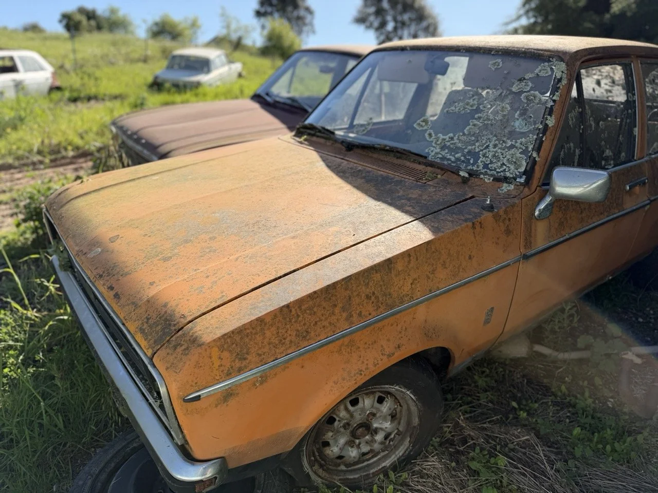 IMG_7690 – grande.jpeg