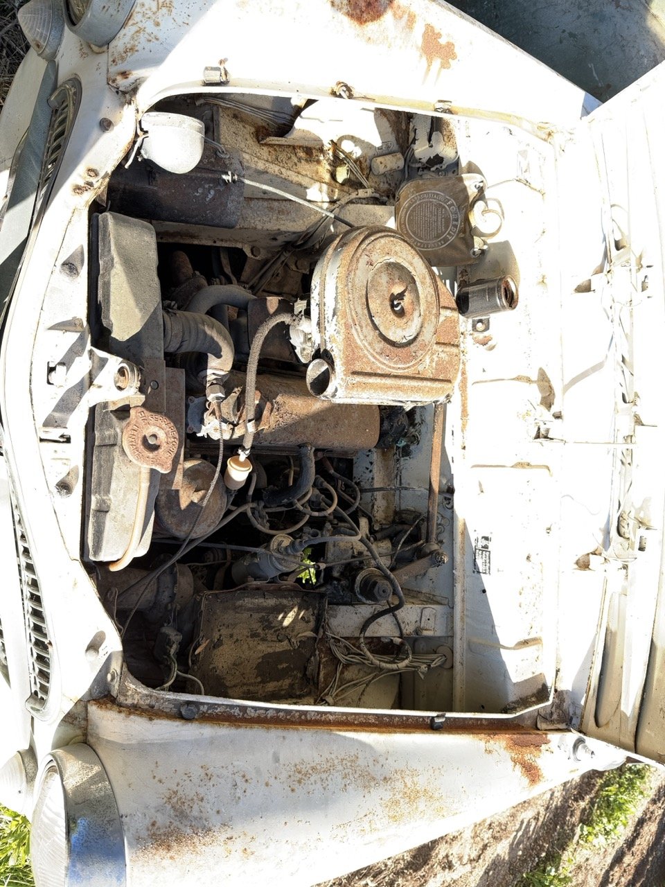 IMG_2539 – grande.jpeg