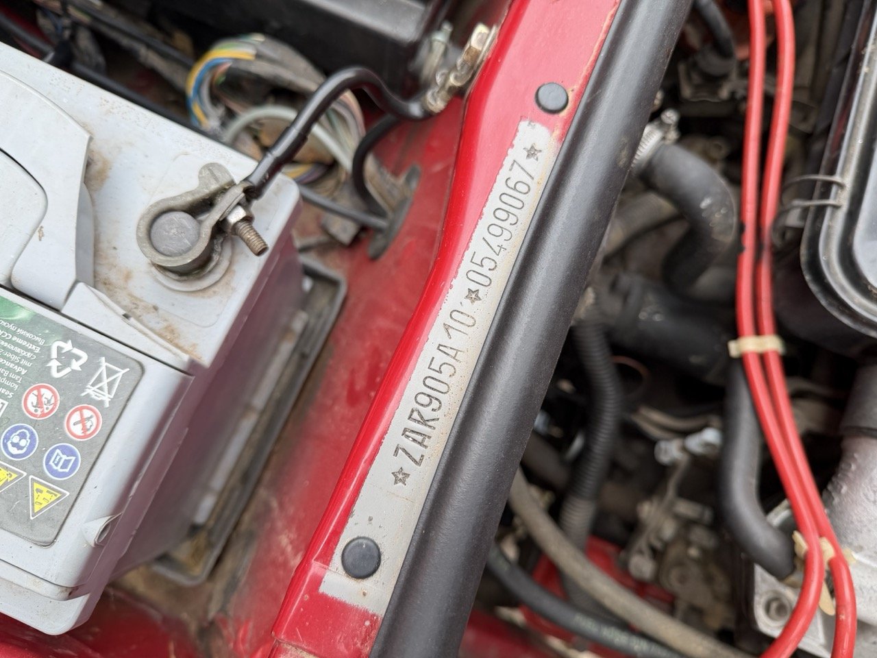 IMG_3480 – grande.jpeg