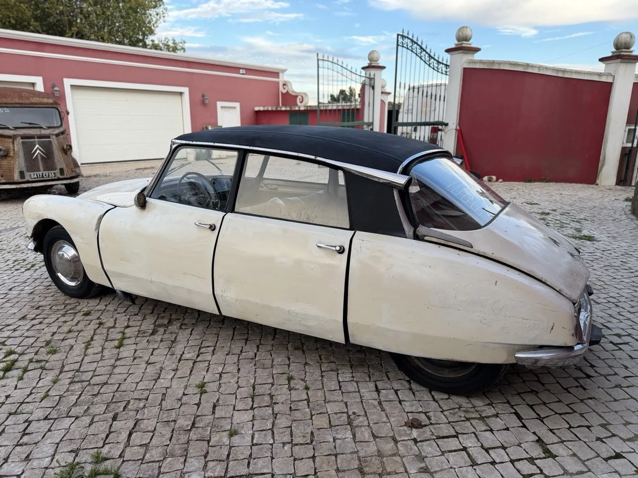 IMG_5929 – grande.jpeg