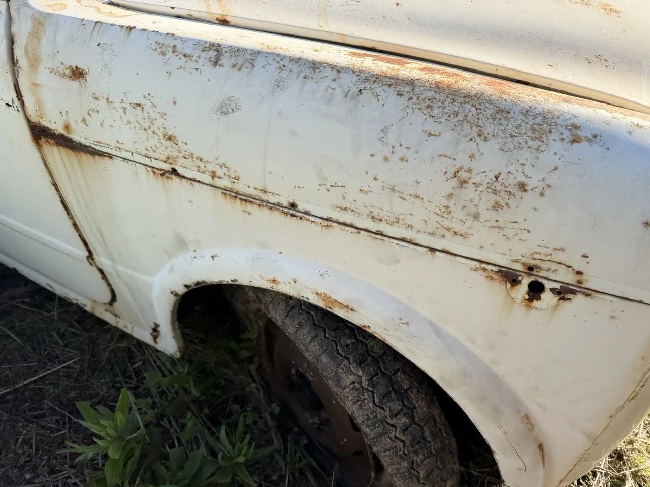 IMG_2528 – grande.jpeg