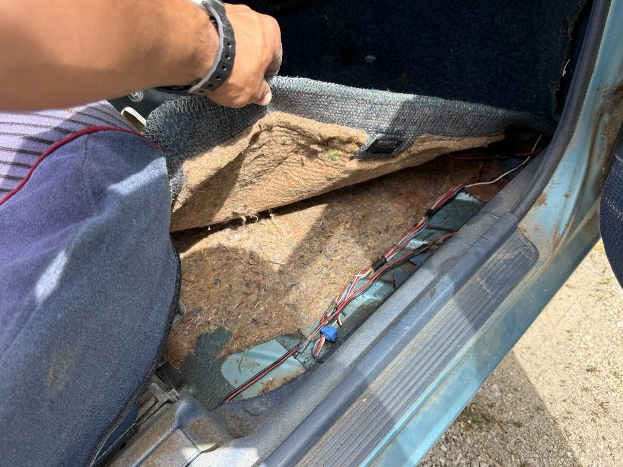 IMG_1551 – grande.jpeg