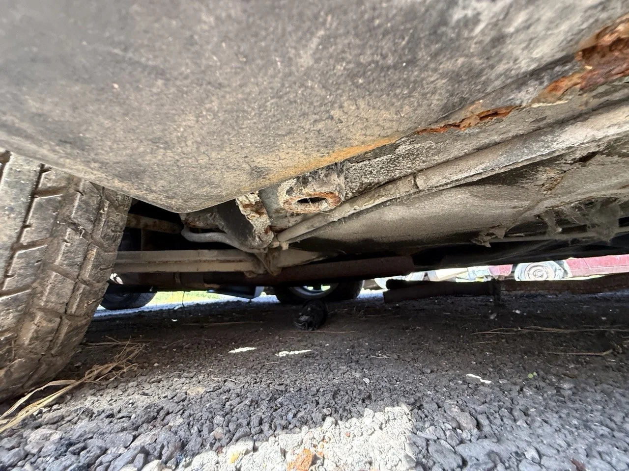 IMG_2945 – grande.jpeg