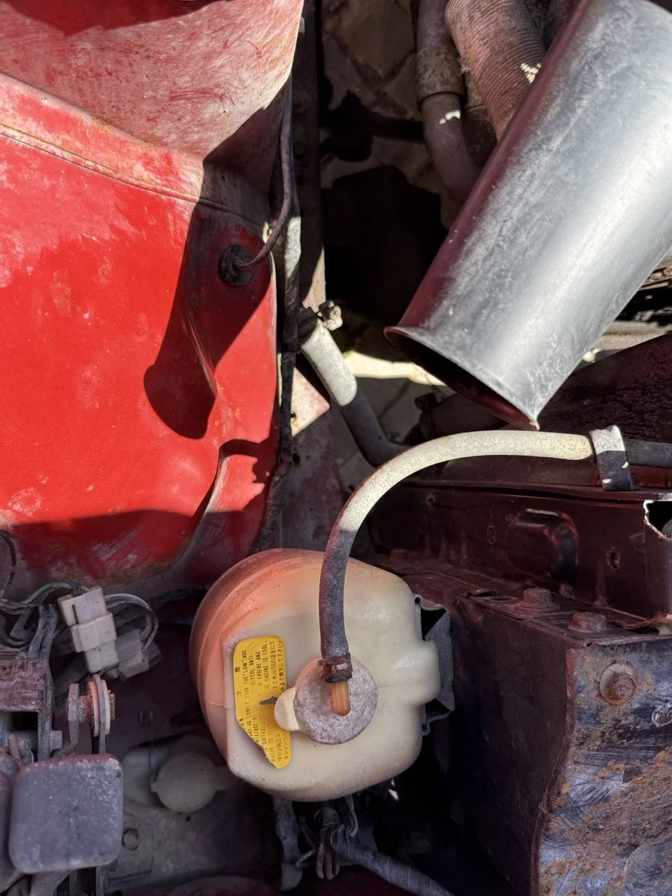 IMG_2049 – grande.jpeg