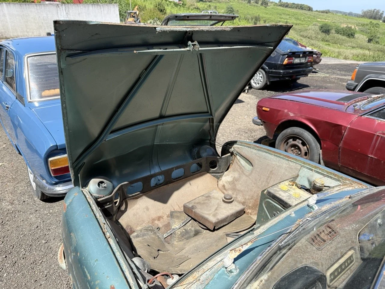 IMG_0838 – grande.jpeg