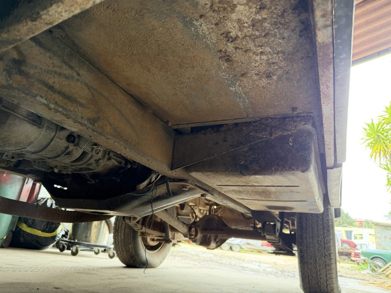 IMG_5237 – grande.jpeg