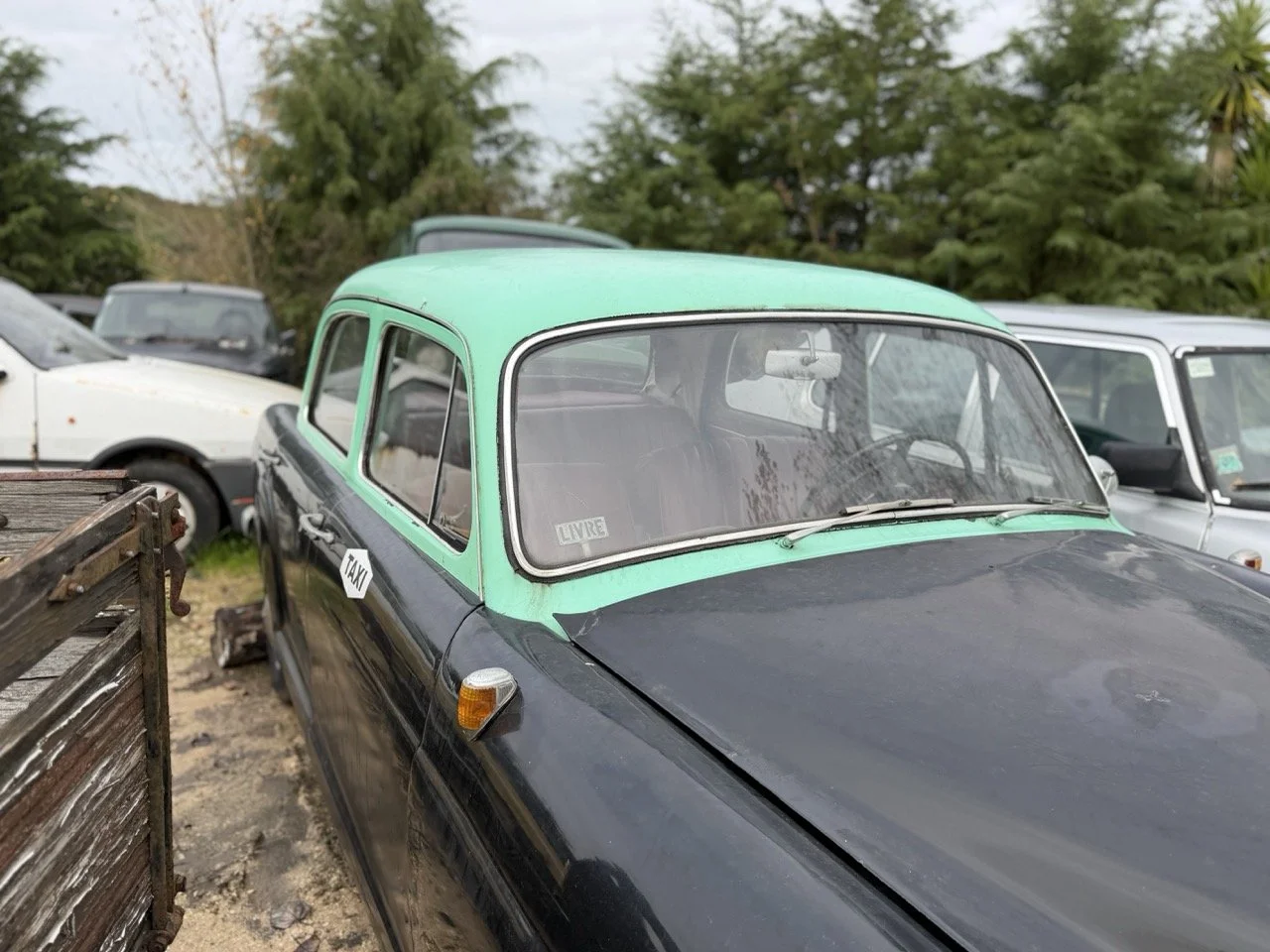 IMG_5004 – grande.jpeg